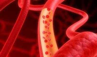 塑料杯 隨手杯 辦公杯 水杯/大水杯(365ML)[供應(yīng)]_世界工廠網(wǎng)中國(guó)產(chǎn)品信息庫(kù)